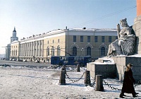 Зоологический музей в Санкт-Петербурге